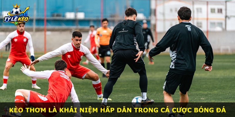 Kèo thơm là khái niệm hấp dẫn trong cá cược bóng đá